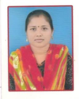 MRS.SEEMA BARHARE